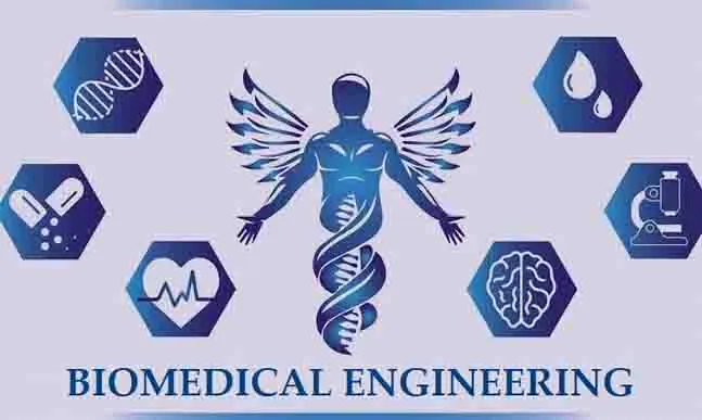 Biomedical Research Centre